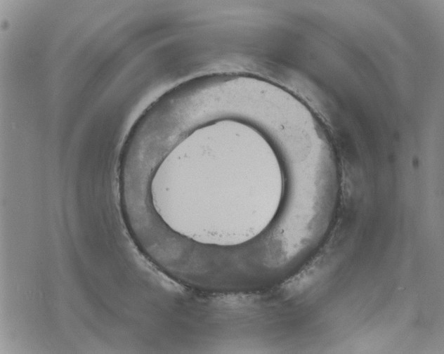 X0000076380950200610161112