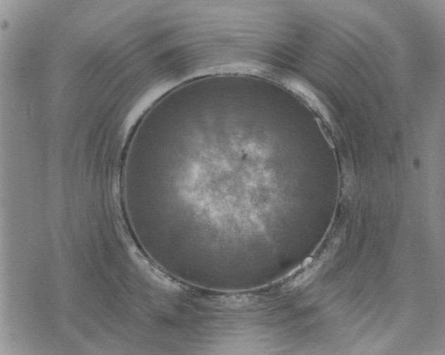 X0000076380952200610161112