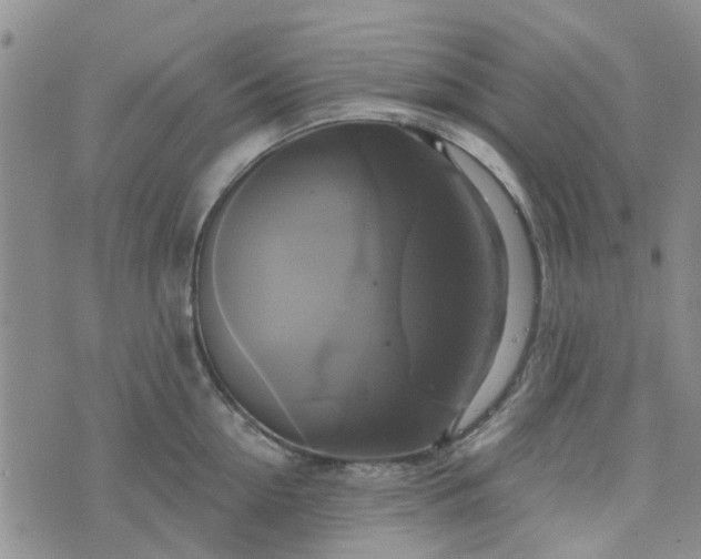 X0000076380954200610161112