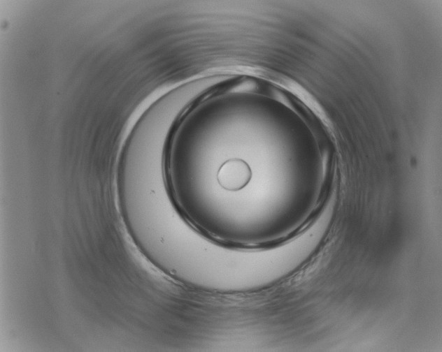 X0000076380955200610161112