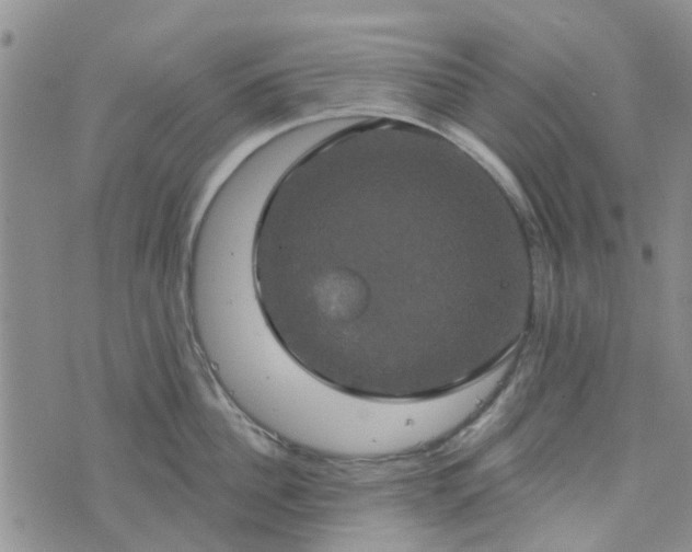 X0000076380956200610161112