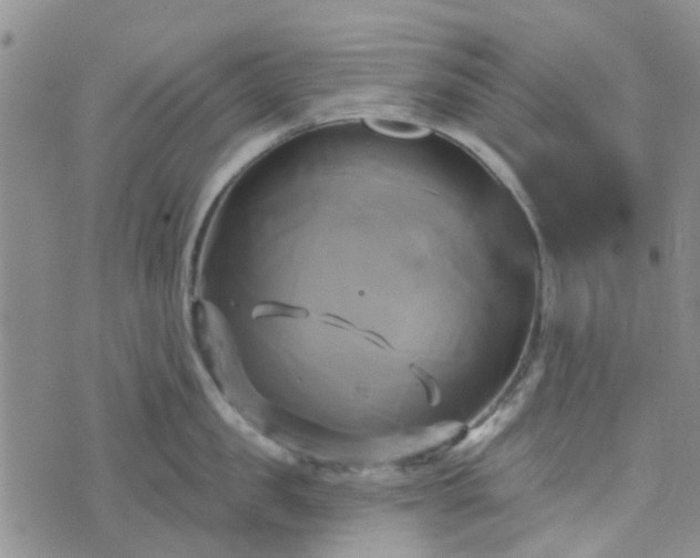 X0000076380957200610161112