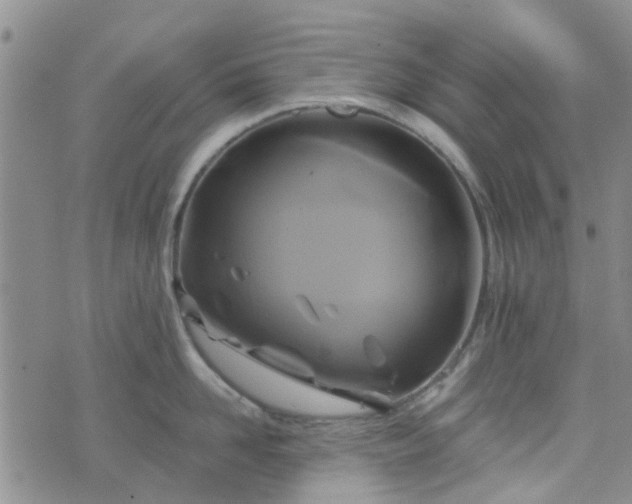 X0000076380958200610161112