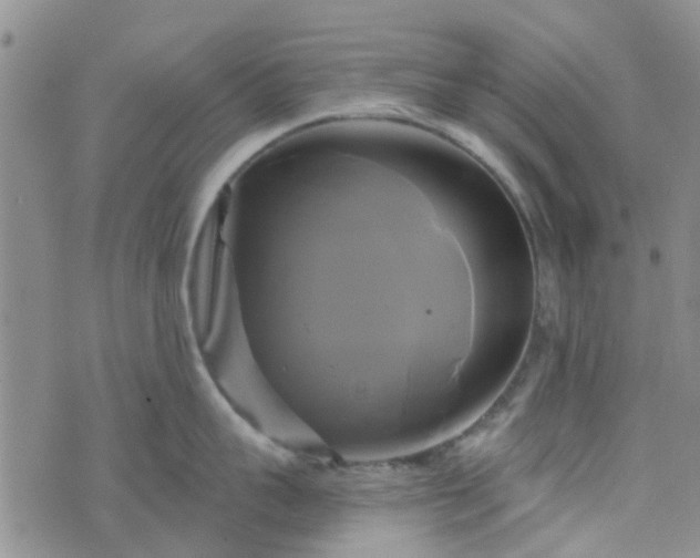 X0000076380959200610161112