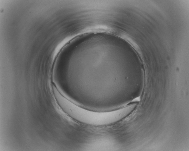 X0000076380960200610161112