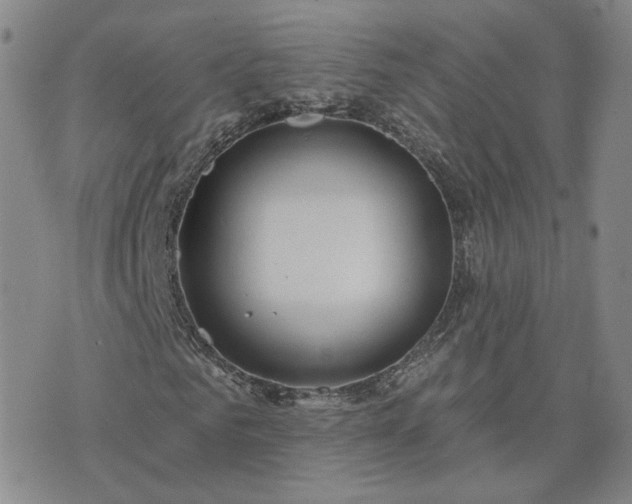 X0000076380961200610161111