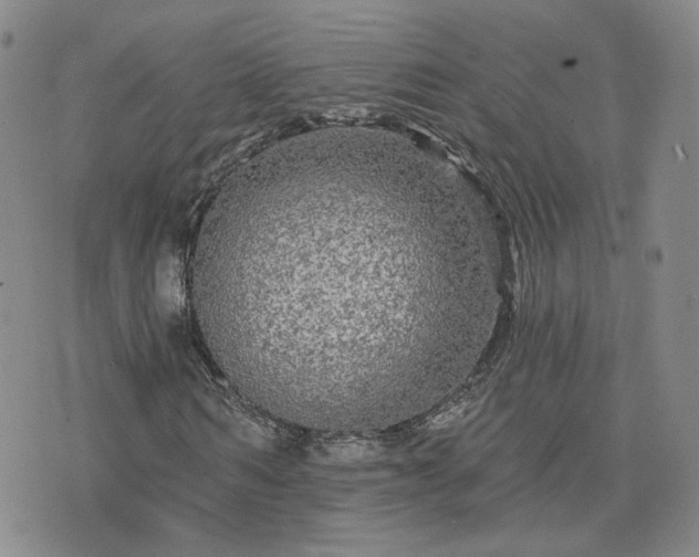 X0000076380962200610161111