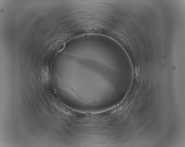 X0000076380963200610161111