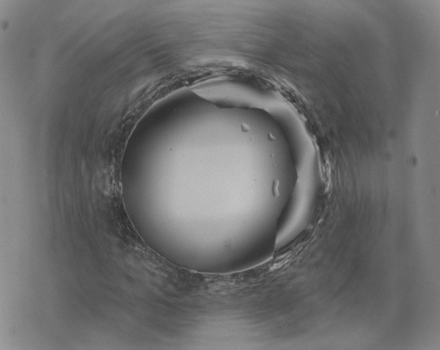 X0000076380965200610161111