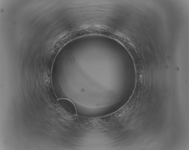 X0000076380966200610161111