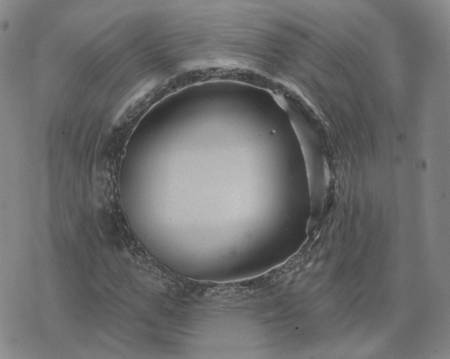 X0000076380967200610161111