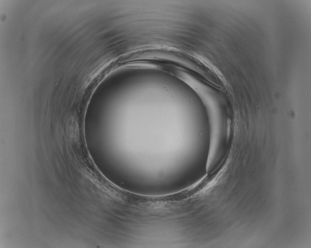 X0000076380969200610161111