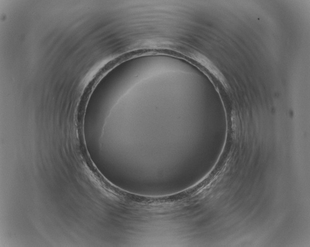 X0000076380972200610161111