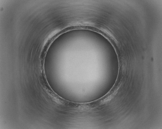 X0000076380974200610161111