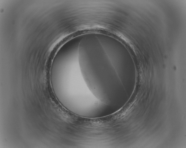 X0000076380975200610161111