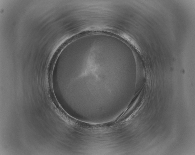 X0000076380976200610161111