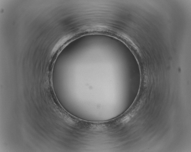 X0000076380978200610161111