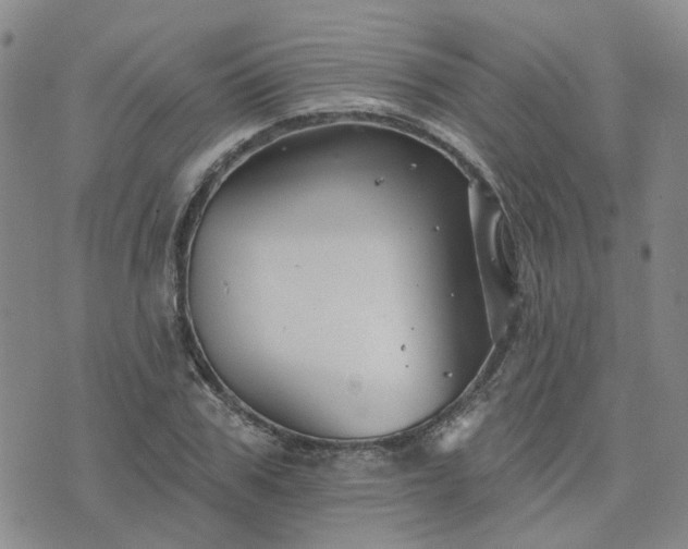 X0000076380979200610161111