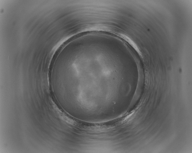 X0000076380980200610161111