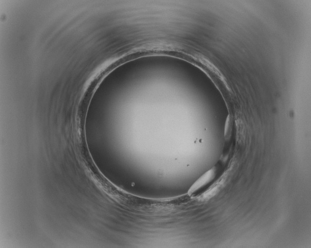 X0000076380981200610161111