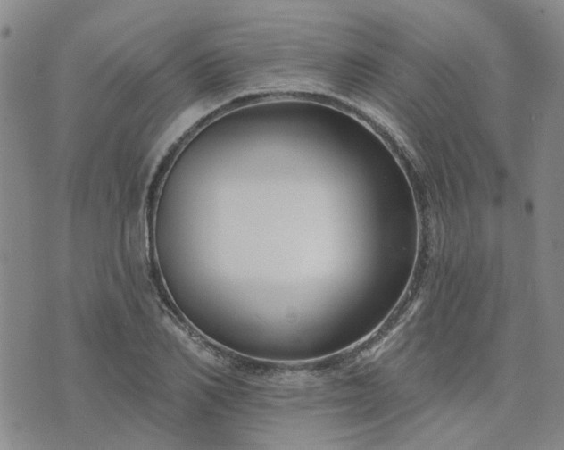 X0000076380982200610161111