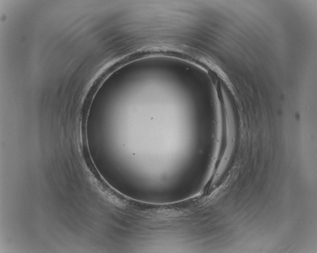 X0000076380984200610161111