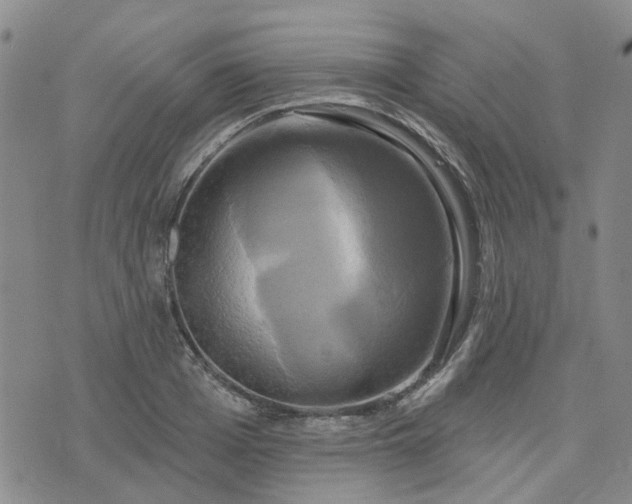 X0000076380985200610161110