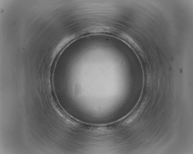 X0000076380986200610161110