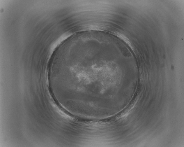 X0000076380987200610161110