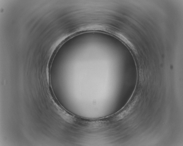 X0000076380988200610161110