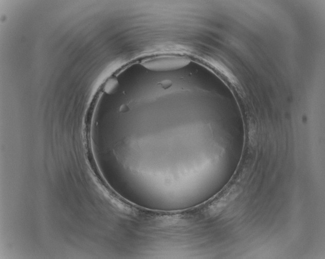 X0000076380990200610161110