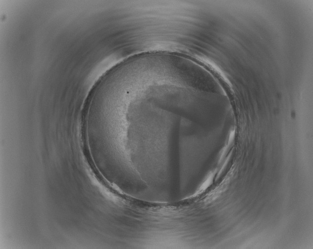 X0000076380991200610161110