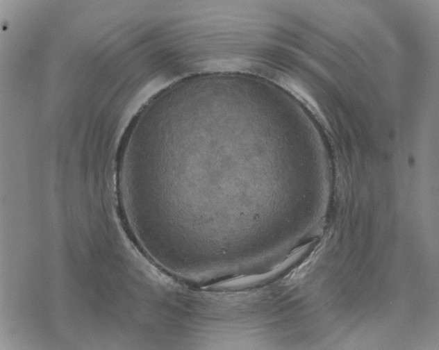 X0000076380992200610161110