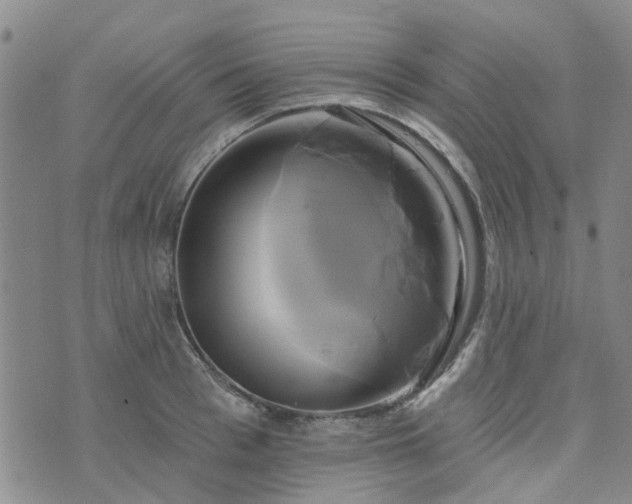 X0000076380993200610161110