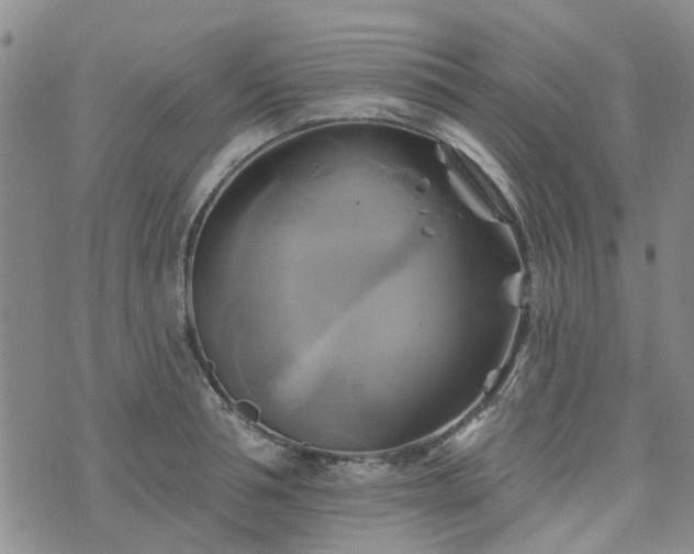 X0000076380994200610161110