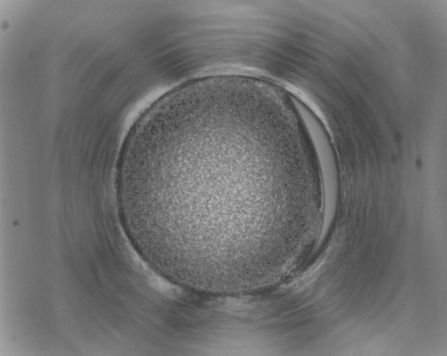 X0000076380995200610161110