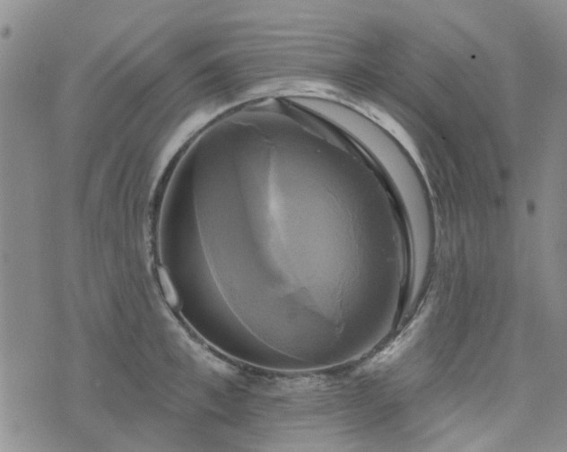 X0000076380997200610161110