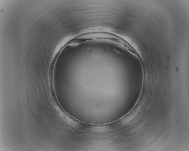 X0000076380998200610161110