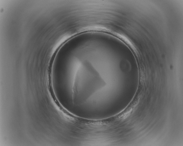 X0000076380999200610161110