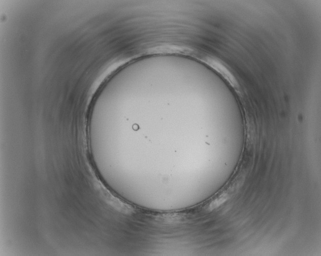 X0000076381000200610161110