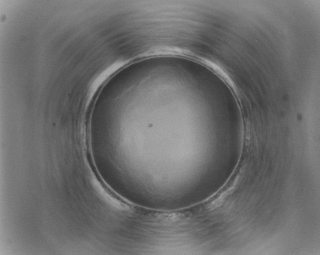 X0000076381003200610161110