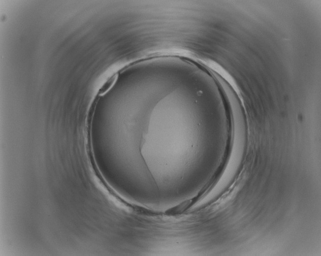 X0000076381005200610161110