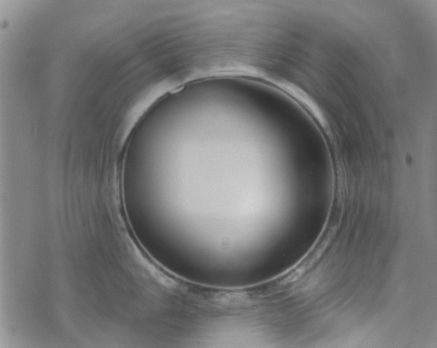 X0000076381006200610161110