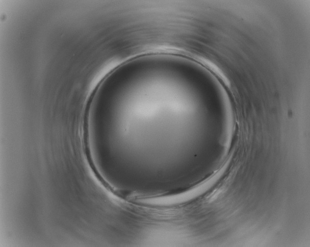 X0000076381007200610161110