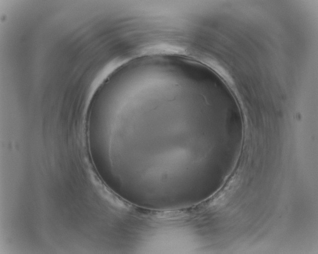 X0000076381008200610161110