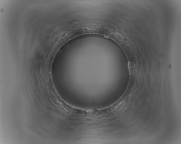 X0000076381009200610161109