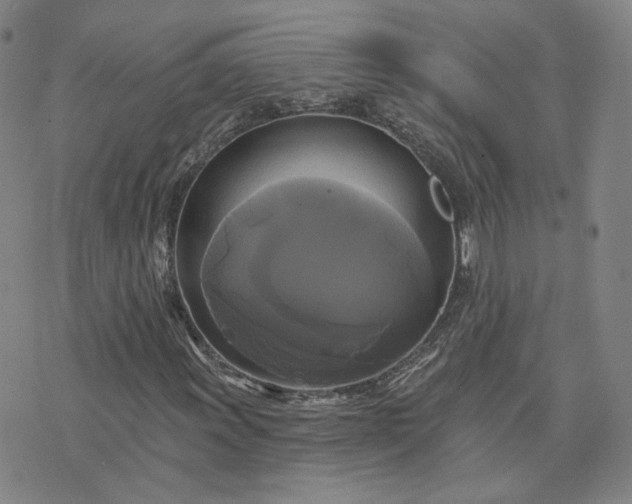 X0000076381011200610161109