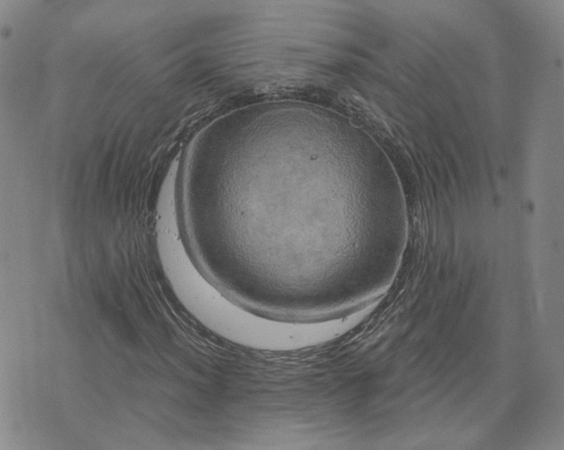 X0000076381012200610161109