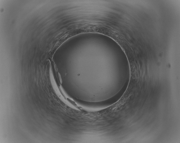 X0000076381013200610161109