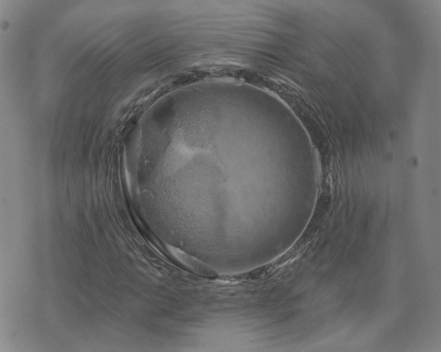 X0000076381014200610161109